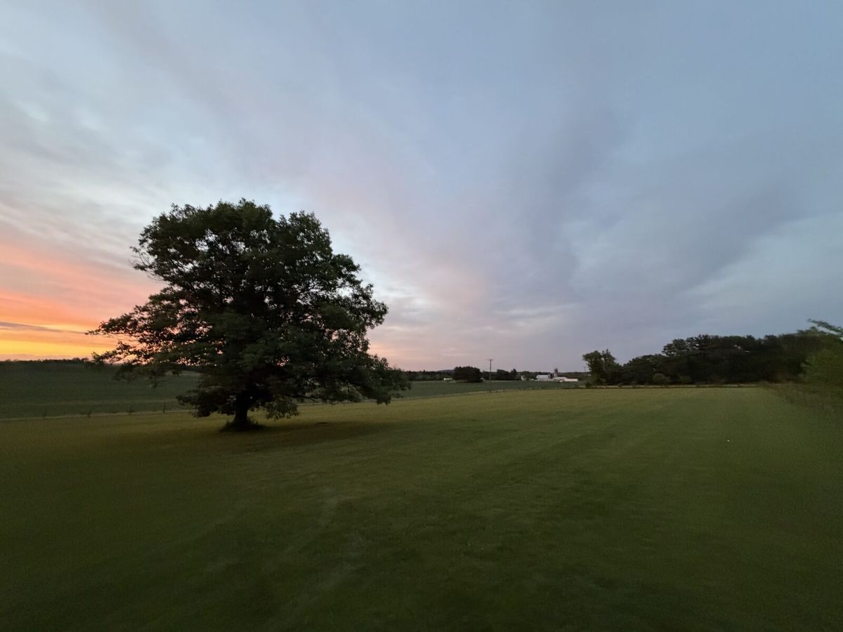 Zone 01 · Wellness Lawn