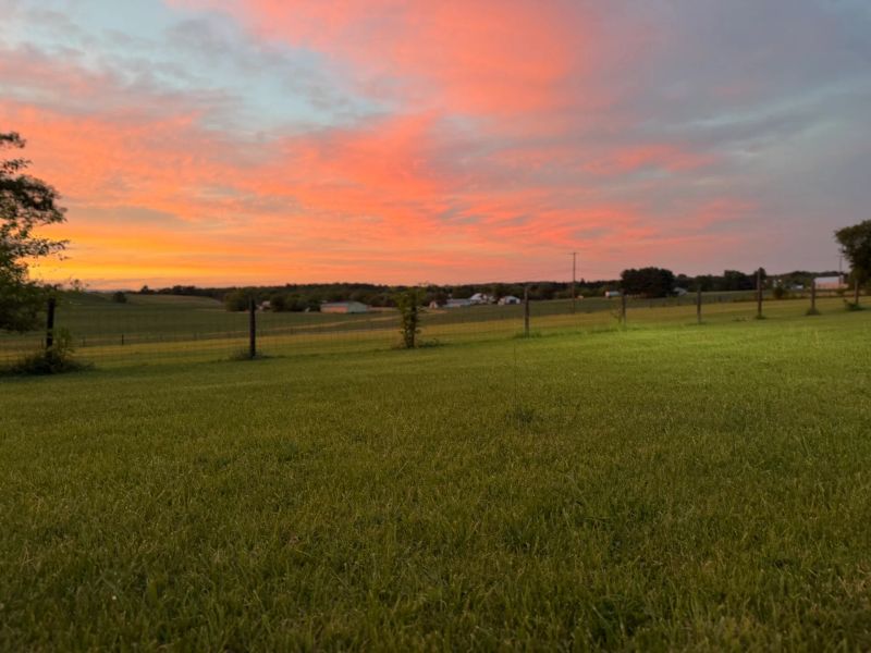 Evening dog yard with good energy