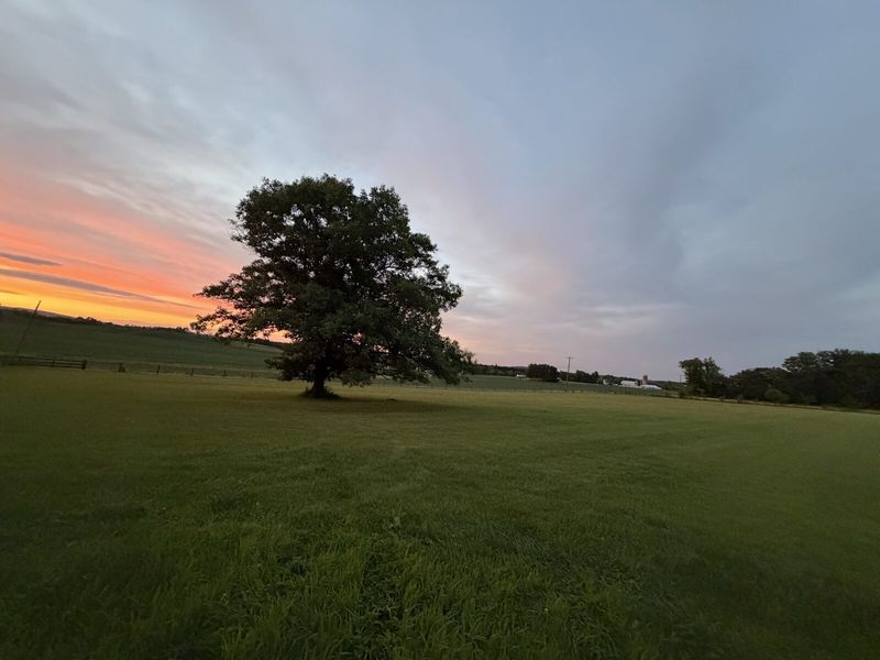 Zone 01 · Wellness Lawn