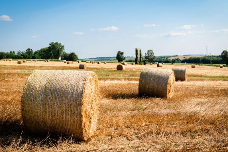 Outdoor farm venue on an autumn day